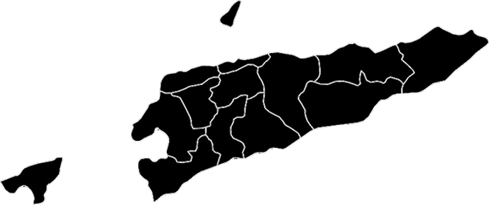 TPay - ita hotu bele uza!